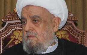 عبد الامير قبلان: لبنان محصن من اي عدوان وايران مرجع المسلمين عامة