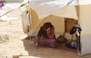 كيف اخرجت الخارجية المصرية مواطنيها من الغوطة الشرقية؟
