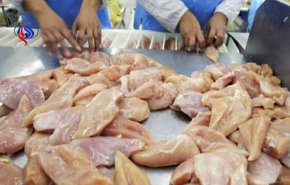 توتر العلاقات التجارية بين امريكا وبريطانيا.. والسبب دواجن!!