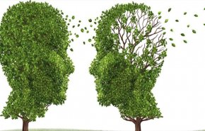 لماذا فرنسا توقف دعم أدوية الزهايمر؟
