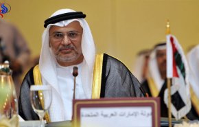 مسؤول إماراتي: قطر تدعم حركات التمرد بالبحرين والسعودية