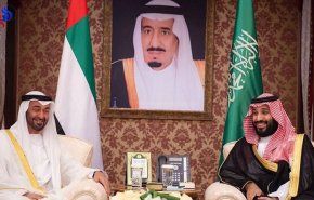 20 اتفاقا بين محمد بن سلمان ومحمد بن زايد