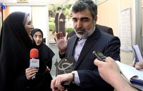 كمالوندي: إجراء مفاوضات تصنيع معدات مفاعل أراك الأسبوع القادم