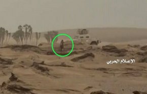 مشاهد من العمليات العسكرية اليمنية في الساحل الغربي
