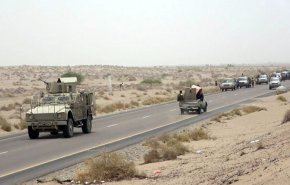 مناشدات لسحب ابناء محافظات الجنوب من معارك العمالة