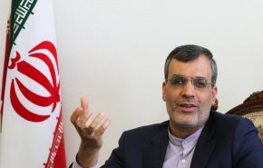 جابري انصاري يلتقي عددا من زعماء المعارضة السورية