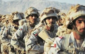  التعذيب الجنسي في سجون الامارات في اليمن!