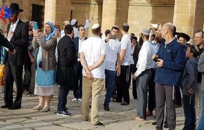 مستوطنون يقتحمون الأقصى تحت حماية الاحتلال