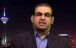البحرين...تبرئة الشيخ علي سلمان..الابعاد والاهداف
