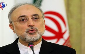 صالحي: مستقبل مرعب ينتظر المنطقة والعالم لو انهار الاتفاق النووي