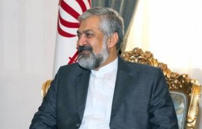 سرمدي : انتهاك الاتفاقيات الدولية بدعة خطيرة في النظام الدولي