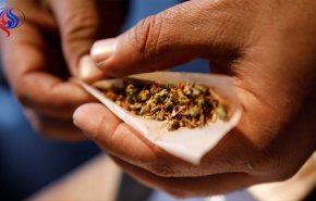 بريطانيا تقترب من إجازة استخدام الحشيش