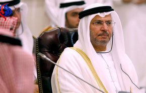 قرقاش يعلق على انشقاق نجل حاكم الفجيرة.. وهذا رد قطري 