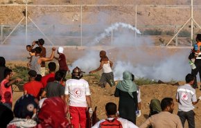 فيديو، المقاومة الشعبية في غزة: الطائرات الورقية لن تتوقف