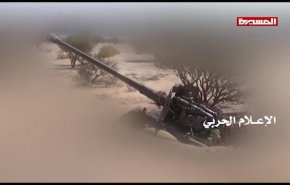 مصرع مرتزقة في قصف مدفعي غرب تعز
