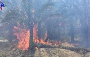 مقتل ثلاثة مدنيين بانفجار في حوض الوقف بديالى