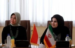 ایران آمادگی دارد تجربیات حقوقی و قضایی خود را در اختیار اندونزی بگذارد