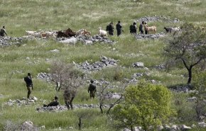 الاحتلال يُصادر 25 دونمًا من أراضي الفلسطينيين جنوب نابلس