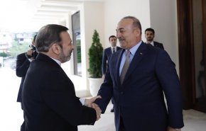 واعظي يبحث مع اوغلو في انقرة القضايا ذات الاهتمام المشترك