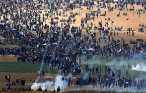 ترامب واوهام تصفية القضية الفلسطينية
