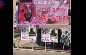 شاهد.. الكنديون ينددون بسياسات آل سعود بمنعهم من الحج