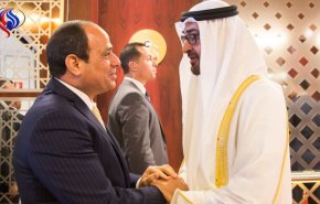 الكشف عن الدور الاماراتي السعودي في الانقلاب على مرسي