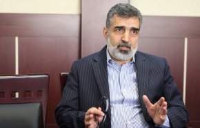 كمالوندي يؤكد الدور المؤثر لمحطة بوشهر النووية في انتاج الكهرباء