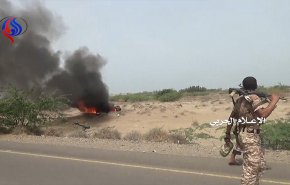 شاهد عمليات تطهير سوق الجبلية ومواقع في الساحل الغربي