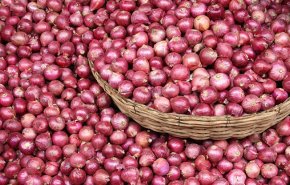 خصائص مدهشة لعصير البصل