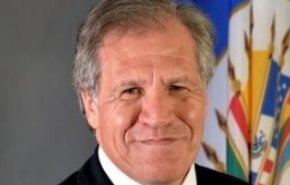الأمين العام لمنظمة الدول الأمريكية لا يستبعد 