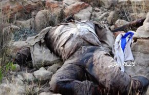 مقتل قيادي بارز تابع لتحالف العدوان السعودي بالساحل الغربي