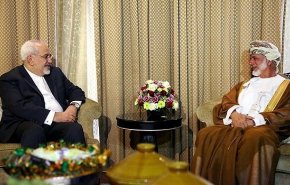 ظريف وإبن علوي يبحثان العلاقات الثنائية واهم قضايا المنطقة