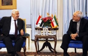 ظريف والمعلم يجتمعان بنيويورك..ما هو محور اللقاء؟