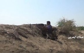 قوات اليمن تصد زحفا واسعا للمرتزقة في ناطع بالبيضاء