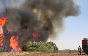 5 حرائق في ’غلاف غزة’ بفعل بالونات العودة