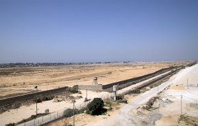 مصر... تنظيم 