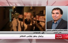 ملخص...حديث البحرين – برلمان وفق مقاس النظام