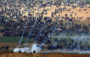 198 شهيدا بينهم 37 طفلا منذ انطلاق مسيرات العودة بغزة
 
