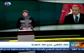 بانوراما: 