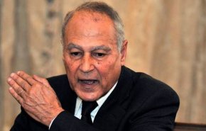 أبو الغيط يدعو لاتخاذ قرار حازم ضد من يرغب بنشر الفوضى بليبيا