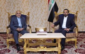 الحلبوسي وعبد المهدي يشددان على تشكيل الحكومة العراقية
