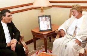 جابري انصاري يلتقي بن علوي في مسقط