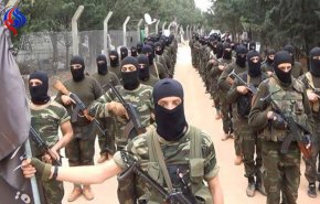 تحرير الشام تمزق أعلام 