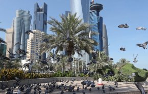 قطر تتحدث عن 
