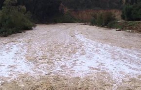 بالاردن... ارتفاع ضحايا البحر الميت والديوان الملكي ينكس العلم