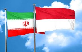 ارتفاع الصادرات غير النفطية الإيرانية إلى إندونيسيا بنسبة 42٪