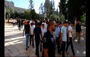بالفيديو: هكذا تحاول السعودية انقاذ نفسها من 