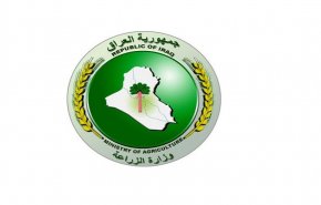 شاهد..الزراعة العراقية تكشف عن المرض الذي اصيب الاسماك