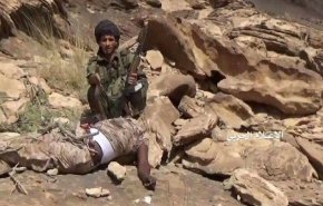 مرتزقة السعودية يتساقطون صرعى بعمليات نوعية بمأرب والبيضاء 