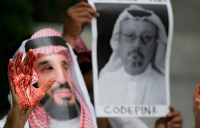 بالفيديو.. 